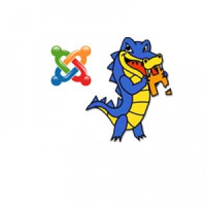 7 Questions for HostGator about Joomla
